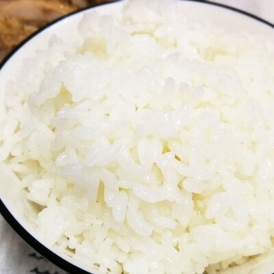 ★新米(令和4年産)発送★ 伊予あぐり米「コシヒカリ」(精米10kg) 【F-13】