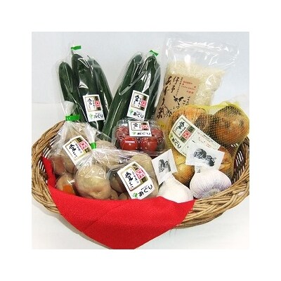 栽培期間中、農薬・化学肥料不使用 季節のお野菜ギフト(5~6種程度詰合)【F-20】
