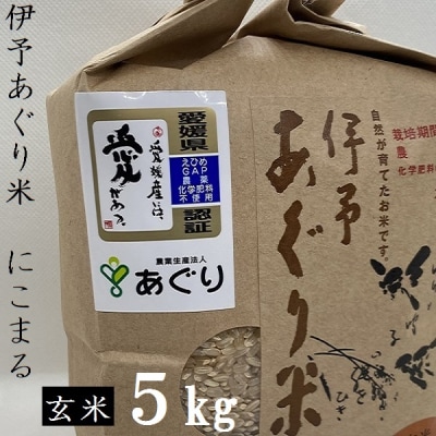 ★令和7年産発送★　伊予あぐり米「にこまる」(玄米5kg) 