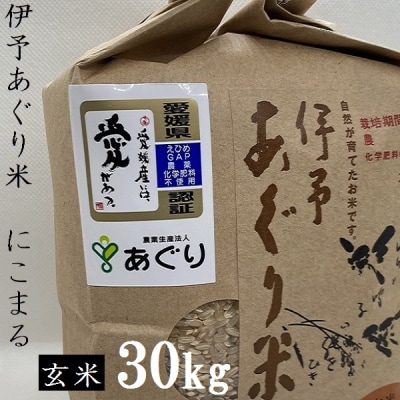 ★令和7年産発送★　伊予あぐり米「にこまる」(玄米30kg)