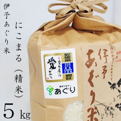★令和7年産発送★　伊予あぐり米「にこまる」(精米5kg)
