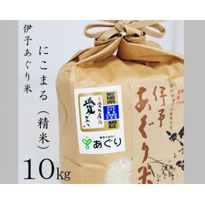 ★令和4年産発送★　伊予あぐり米「にこまる」(精米10kg)