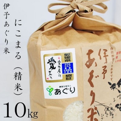 ★令和7年産発送★　伊予あぐり米「にこまる」(精米10kg)