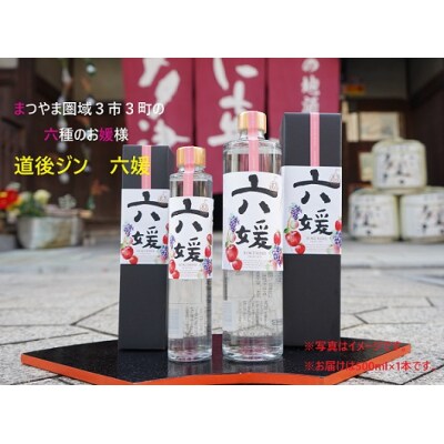 道後ジン 六媛 500ml【H-31】