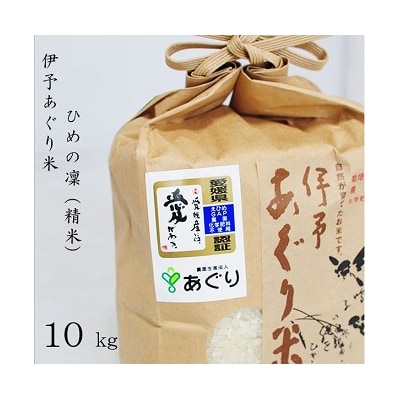 ★令和7年産発送★　伊予あぐり米「ひめの凜」(精米10kg)