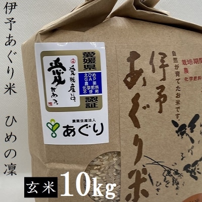 ★令和7年産発送★　伊予あぐり米「ひめの凜」(玄米10kg)