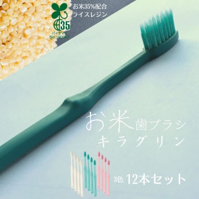 お米でできた歯ブラシ「キラグリン」3色12本セット【SYB0091_x】