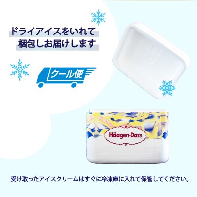 ハーゲンダッツ バー セット 20本入 ロイヤルミルクティークランチ【MNM001_201C_x】