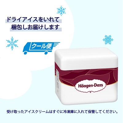 ハーゲンダッツ バー セット 20本入 ロイヤルミルクティークランチ【MNM001_201C_x】