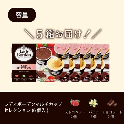 ロッテ レディーボーデン マルチカップセレクション 【MNM0022】