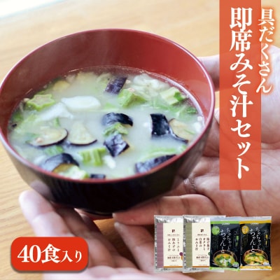 具だくさん即席みそ汁セット(40食入り)　ギノーみそ【GNM0051】