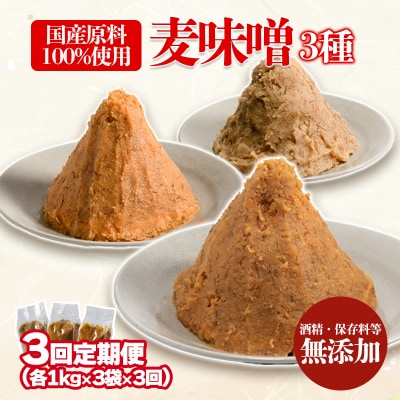 【3回定期便】麦みそ 3種セット 1kg 各3個 計9kg　ギノーみそ【GNM013】
