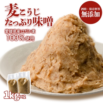麦こうじたっぷり味噌 1kg×2個　ギノーみそ【GNM016】