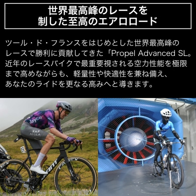 GIANT PROPEL ADVANCED SL FRAMESET 【GIA001_h】