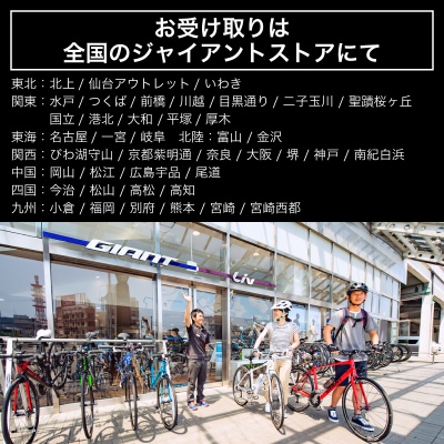 GIANT TCR ADVANCED SL FRAMESET 【GIA002_p】