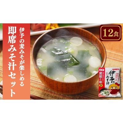 愛媛・伊予の麦みそが楽しめる即席みそ汁セット むぎ(12食入り)