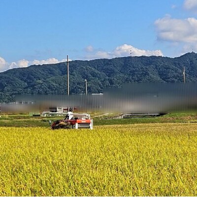 【2026年10月から順次発送予定】 米 ヒノヒカリ 精米 10kg 未検査米 【HSH001】