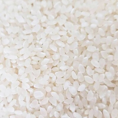 【2026年10月から順次発送予定】 米 ヒノヒカリ 精米 10kg 未検査米 【HSH001】