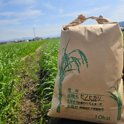 【2026年10月から順次発送予定】 米 ヒノヒカリ 精米 10kg 未検査米 【HSH001】