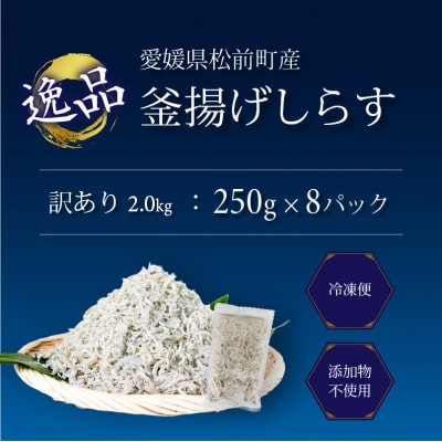 しらす 2kg 訳あり 釜揚げ | ワケアリ 愛媛県 松前町 【AIS002】