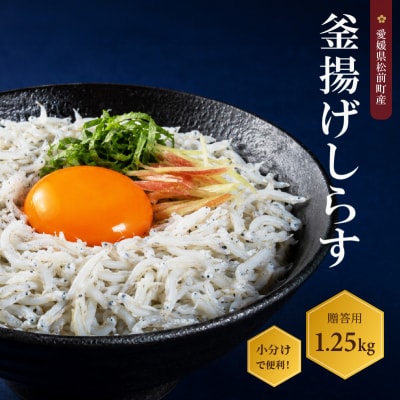 しらす 1.25kg 贈答用 釜揚げ | シラス ギフト 愛媛県 松前町 【AIS004】