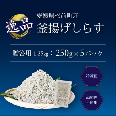 しらす 1.25kg 贈答用 釜揚げ | シラス ギフト 愛媛県 松前町 【AIS004】