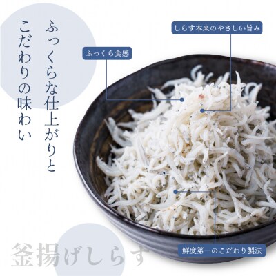 しらす 500g 一級品 釜揚げ | 贈答 新鮮 愛媛県 松前町 【MYS003】