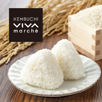 2023年1月発送開始『定期便』北海道剣淵町産【玄米】ななつぼし 計10kg(5kg×2袋)全6回