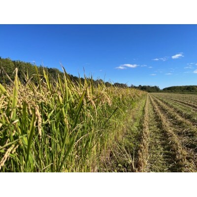 【北海道剣淵町】ななつぼし 精米 5kg