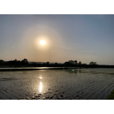 【北海道剣淵町】ゆめぴりか 精米 5kg