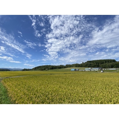 【北海道剣淵町】令和7年産　ゆめぴりか5kg(精米)