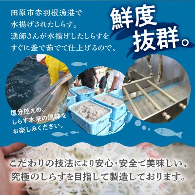 愛知県田原市産こだわり製法のしらす干し1kg(500g×2袋)