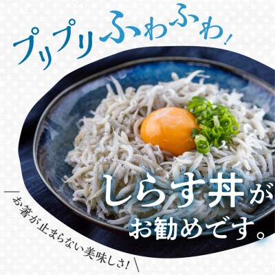 愛知県田原市産こだわり製法のしらす干し1kg(500g×2袋)