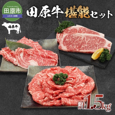田原牛堪能セット　【すき焼き用500g】【しゃぶしゃぶ用500g】【ステーキ用250g×2枚】