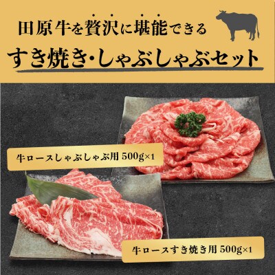 田原牛堪能セット　【すき焼き用500g】【しゃぶしゃぶ用500g】【ステーキ用250g×2枚】