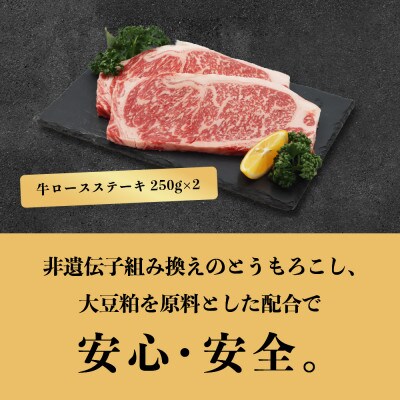 田原牛堪能セット　【すき焼き用500g】【しゃぶしゃぶ用500g】【ステーキ用250g×2枚】