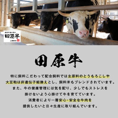 田原牛堪能セット　【すき焼き用500g】【しゃぶしゃぶ用500g】【ステーキ用250g×2枚】