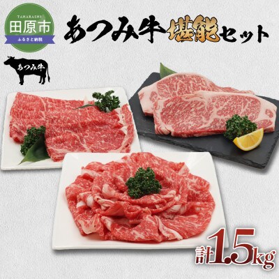 あつみ牛堪能セット　【すき焼き用500g】【しゃぶしゃぶ用500g】【ステーキ用250g×2枚】