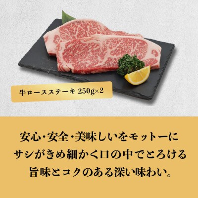 あつみ牛堪能セット　【すき焼き用500g】【しゃぶしゃぶ用500g】【ステーキ用250g×2枚】