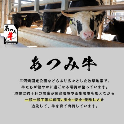 あつみ牛堪能セット　【すき焼き用500g】【しゃぶしゃぶ用500g】【ステーキ用250g×2枚】