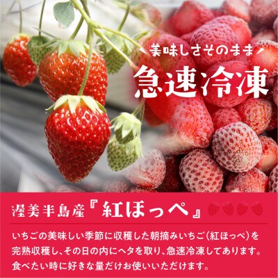 【愛知県・田原産】訳ありフローズンいちご(紅ほっぺ)1kg×2袋