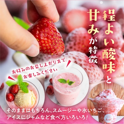 【愛知県・田原産】訳ありフローズンいちご(紅ほっぺ)1kg