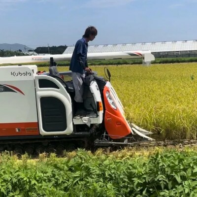 【令和7年産】自然栽培のお米2kg(玄米)