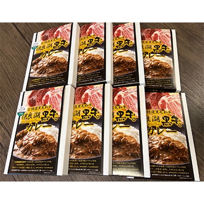 愛知県田原市　伊良湖黒牛カレー8箱セット