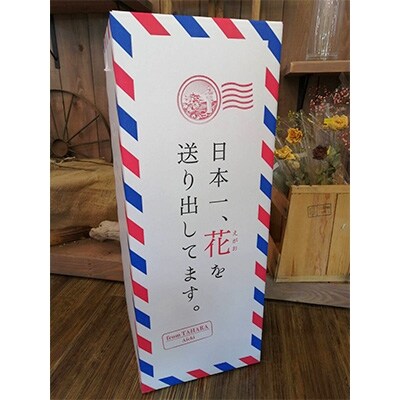 花農家応援 渥美半島田原市産 バラ30本の花束 お礼品詳細 ふるさと納税なら さとふる 花農家応援 渥美半島田原市産 バラ30本の花束 お礼品詳細 ふるさと納税なら さとふる