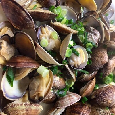 渥美垂下あさり 800g お礼品詳細 ふるさと納税なら さとふる 渥美垂下あさり 800g お礼品詳細 ふるさと納税なら さとふる