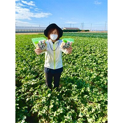 海と大地セット(4種類×8パック　計380g)