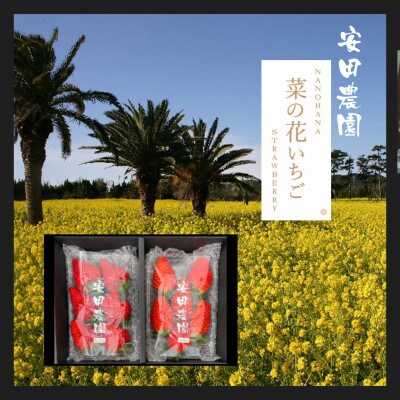 菜の花いちご　6～8粒入 4パック