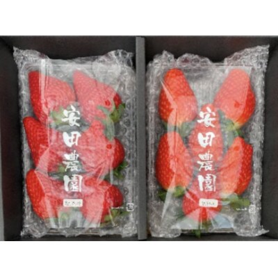 菜の花いちご　6～8粒入 4パック