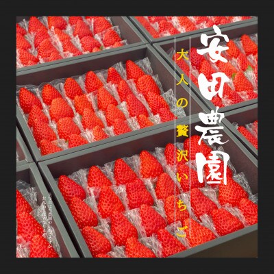 安田農園の大人の贅沢いちご　2パック入×1箱
